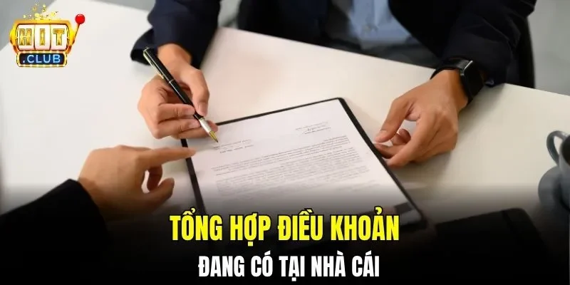 Tổng hợp điều khoản đang có tại nhà cái